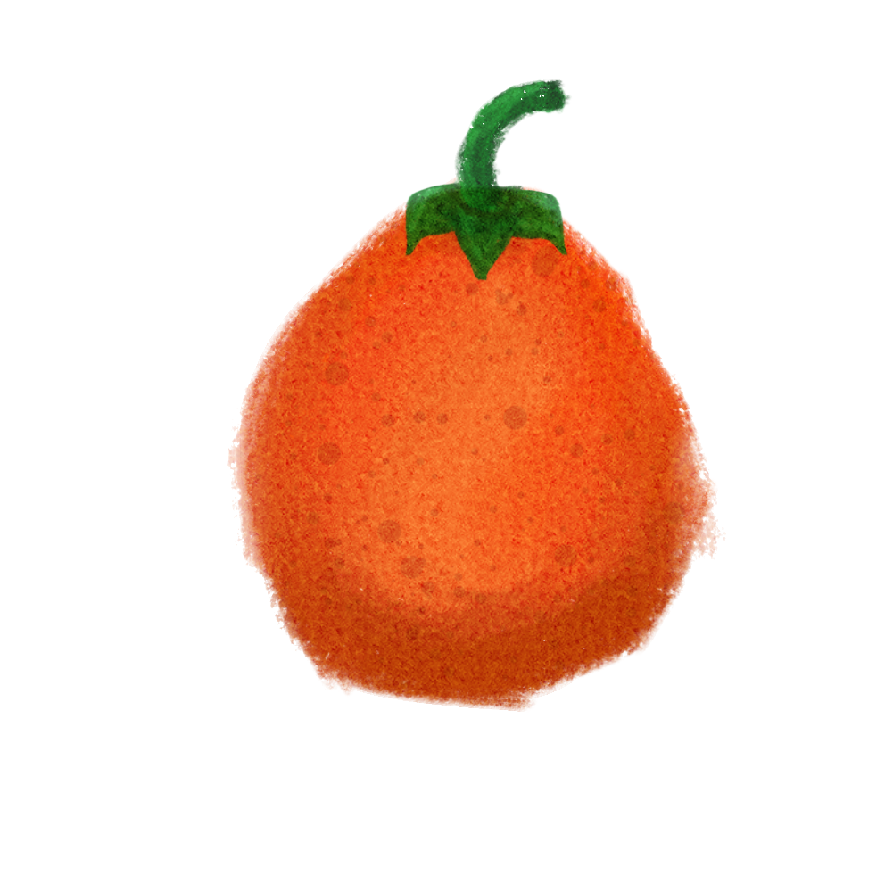 an oblong orange that is speckled, with green leaves and a green stem, stylized from the game animal crossing